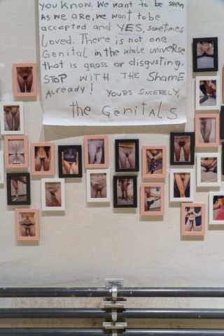 manifest of the genitals by Ana Vollwesen